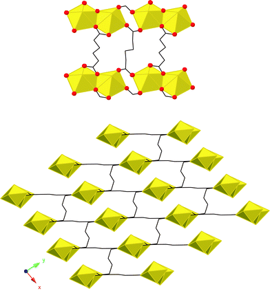 Top: A portion of the UO2(C6H8O4) structure. Yellow polyhedra are UO22+ centered pentagonal bipyramids edge sharing of which produces dimers. Bottom: 3-dimensional view of UO2(C6H8O4).