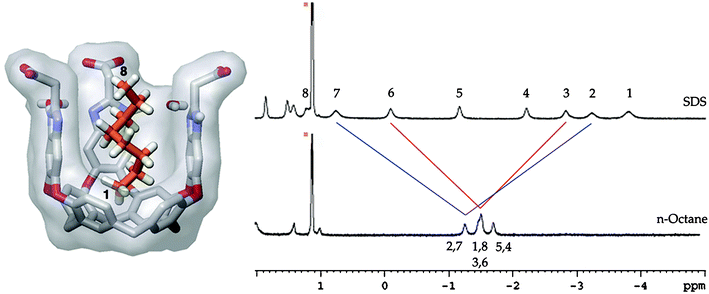 Left: model of complex between host 26 and helical n-octane; Right: Upfield region of 1H NMR spectra of SDS and n-octane in the presence of 1 mM cavitand26; red and blue lines show “averaging” of guest resonances by fast tumbling inside the cavity.