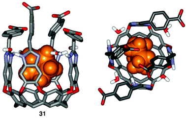 Depiction of the tetrabenzoate cavitand31–cyclopentane complex featuring aromatic “revolving doors”. On average, two doors are suspended above the open end of the cavity at any time.