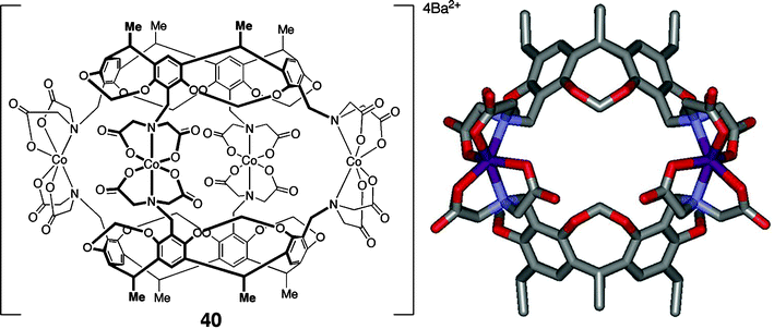 Structure of metal-assembled dimeric resorcin[4]arene cage 40.
