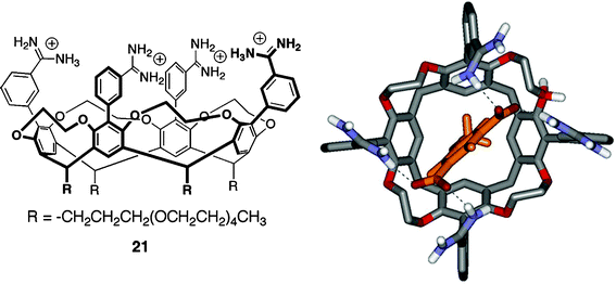 Left: Structure of Diederich's ethylene bridged cavitand21 bearing PEG groups on the lower rim; Right: top view of energy-minimized model of cavitand21–methoxyisophthalate complex showing hydrogen bonds between host and guest (dashed lines, some protons and the pendant chains have been omitted for clarity).
