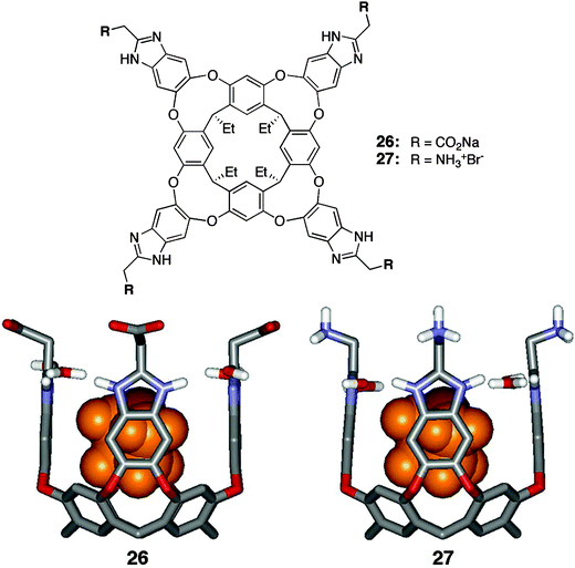 Structure of deep, tetraanionic cavitands 26 and 27 binding one molecule of THF.