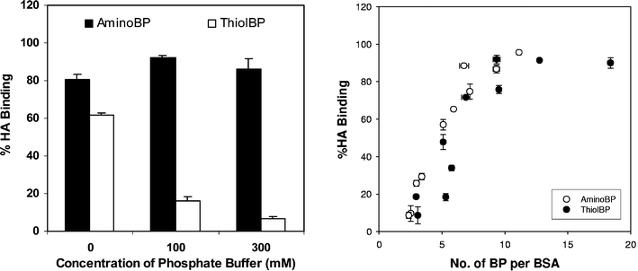 Effect of R2 side-group substituent on HA binding in vitro. A. Comparison of an amino-BP (1-aminomethylene-1,1-bisphosphonate, Scheme 2) and a thiol-BP (2-(3-mercaptopropylsulfanyl)ethyl-1,1-bisphosphonic acid, Scheme 3) binding to HA in different phosphate buffers. B. Correlation between the HA binding (in 100 mM phosphate) and the extent of amino-BP and thiol-BP substitution. Note that, despite differences in BP binding to HA, the conjugate binding did not depend on the nature of the substituent. Details of the experimental conditions were described in ref. 147.