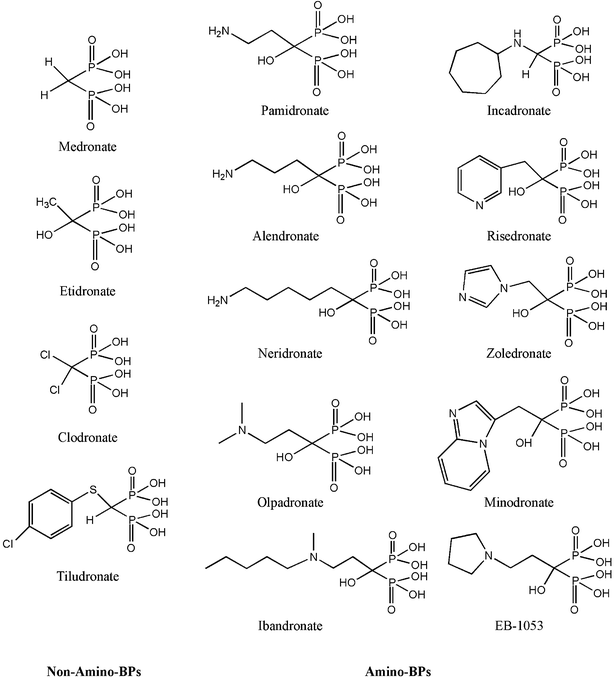Examples of BP class of compounds currently used in a clinical setting. The compounds have been categorized into two classes, based on the presence of an amino group in the R2 side-chain. The amino-BPs typically exhibit a higher potency in antiresorptive effects, the primary clinical utility of BPs. Most of the BPs contain a geminal –OH group that enhances the mineral affinity of the compound.