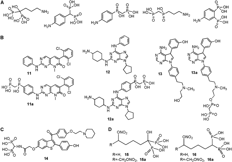 Summary of antiresorptive agents specifically designed for bone targeting. A. Several novel phosphonate-based moieties, in addition to a BP, were explored for bone targeting. B. Most successful antiresorptive agents that displayed both a strong mineral affinity and anti-osteoclastic activity. 11, 12 and 13 are the anti-osteoclastic agents, and 11a, 12a and 13a are their bone-seeking analogues. C. BP-conjugate of selective estrogen receptor modulator raloxifene (14). D. New BPs designed as nitric-oxide donors. The compounds were either single NO donors (15 and 16) or double NO donors (15a and 16a), and contained either a geminal –OH (15 and 15a) or an –H (16 and 16a).