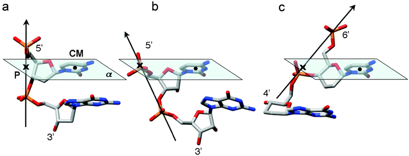 Schematic illustration of the varying degrees of backbone-base inclination in (a) DNA (ca. 0°), (b) RNA (ca. −30°), and (c) homo-DNA (ca. +45°). The vectors connect adjacent intra-strand phosphorus atoms, the solid dot corresponds to the center of mass (CM) of the cytosine base, and the cross marks the point (P) where the P→P vector pierces through the plane (α) defined by nucleobase atoms.