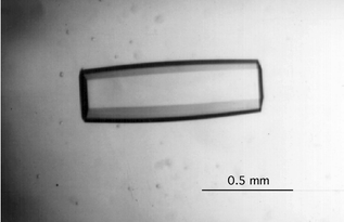 Single crystal of dd(CGAATTCG). The crystals were grown by the sitting drop vapor diffusion method: A 20 µL droplet containing 1.5 mM homo-DNA, 6.25 mM sodium cacodylate, pH 7.0, 4 mM magnesium chloride and 12% MPD was equilibrated against a reservoir of 25 mL 30% MPD. Crystals grew over the course of 1.5 to 3 months and to a typical size of 1 × 0.25 × 0.25 mm3.