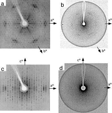 Precession photographs of a homo-DNA crystal (CuKα, λ = 1.54 Å, Ni filter, 45 kV and 40 mA). The cell constants are a = b = 39 Å and c = 133 Å. The nominal resolution is 2.8 Å. (a) hk0, (b) hk1, (c) h0l, and (d) h1l.