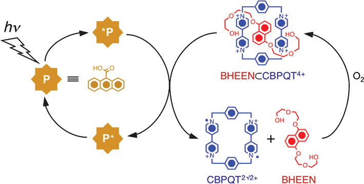 Light-induced dethreading of a BHEEN⊂CBPQT4+-based pseudorotaxane using 9-anthracenecarboxylic acid as a photosensitizer.