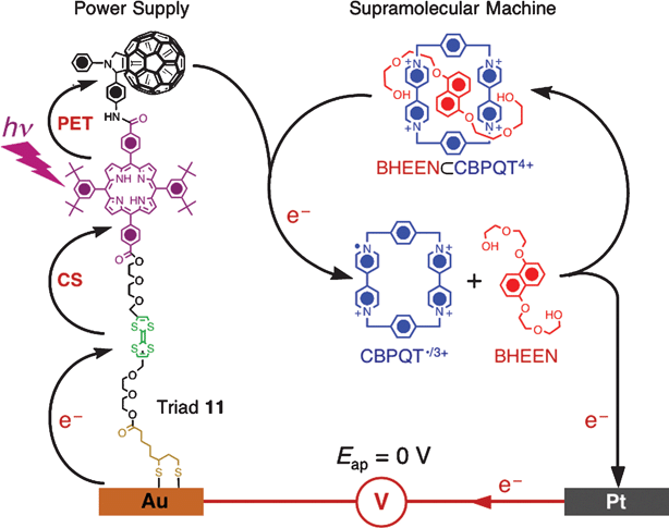 Powering of a supramolecular machine BHEEN⊂CBPQT4+ with photocurrent generated by the molecular triad11. (Redrawn with permission from ref. 137. Copyright (2005) Wiley-VCH.)