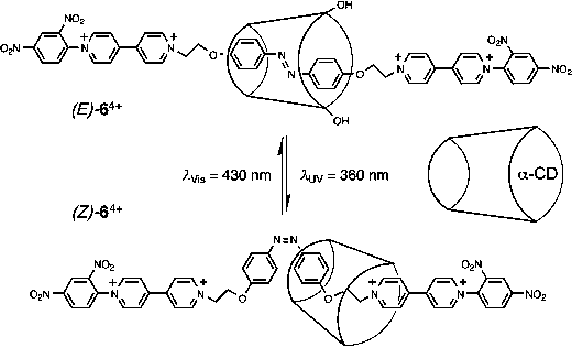 Mechanical switching of α-CD ring by photo-isomerization of the encircled (E/Z)-azobenzene-based recognition unit in the rotaxane 64+.