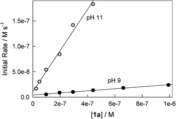 Initial rates of 1a-catalyzed bleaching of Orange II by H2O2 as a function of [1a] at pH 9 and 11. Conditions: [Orange II] 4.5 × 10−5 M, [H2O2] 3.3 × 10−4 M, 25 °C.