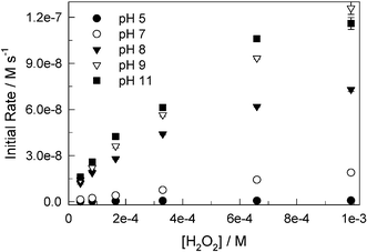 Initial rates of 1c-catalyzed bleaching of Orange II by H2O2 at different pH. Conditions: [Orange II] 4.47 × 10−5 M, [1c] 2.5 × 10−7 M, 25 °C.