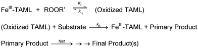General mechanism for catalysis by FeIII–TAMLs.