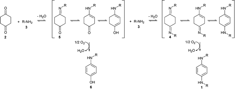 Proposed pathway for the synthesis of p-phenylenediamines (1) and by-products.