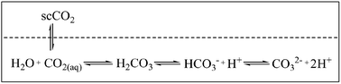 Intrinsic acidity of H2O/scCO2 biphasic media.