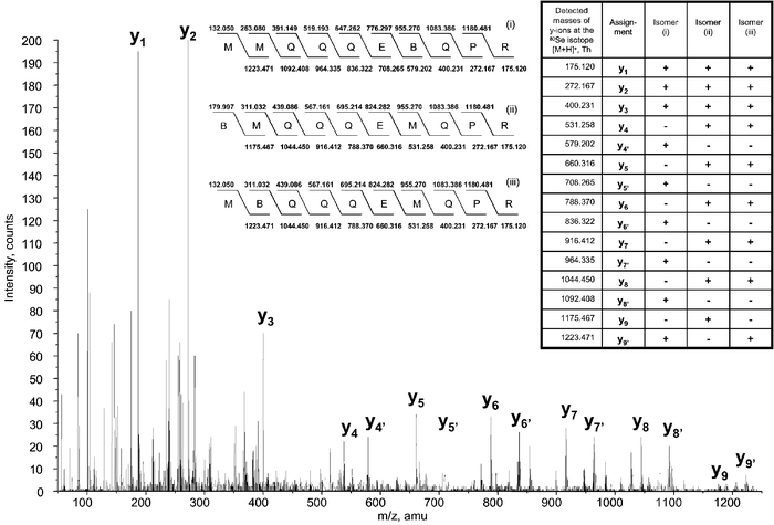 An example of CID mass spectrum showing the presence of three Se/S substitution isomers (assigned as i, ii and iii) for peptide 6, along with the characteristic y-ions detected. (B) denotes SeMet in the sequences presented, (+) and (–) indicates the relevance of y-ions to the given isomer.