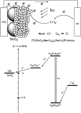 Schematic photocurrent generation and energy diagram in dye-sensitized bulk heterojunction solar cells consisting of 4a and C60.