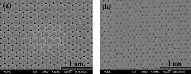 The higher magnification SEM images of yellow PCs (a) and a RB film with a thickness of 20 nm deposited on the PCs (b).