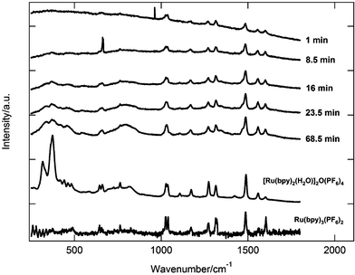 
          In situ Raman spectra of a Au/[Ru(bpy)3]2+(PF6−)2/Au device in operation, as well as the spectra for spin-cast films of synthesized [Ru(bpy)3]2+(PF6−)2 and [Ru(bpy)2(H2O)]2O4+(PF6−)4. The spectra are offset along the y-axis for clarity.