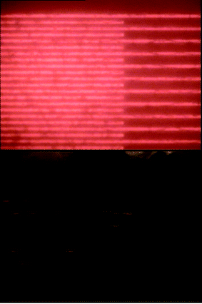 Images of the photoluminescence of a planar Au/[Ru(bpy)3]2+(PF6−)2/Au device before (upper panel) and after (lower panel) 1 hour of operation.