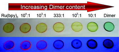 Images of [Ru(bpy)3]2+(PF6−)2 and [Ru(bpy)2(H2O)]2O4+(PF6−)4 blended films (reported in w/w ratios) on quartz substrates under white light (above) and 380 nm UV illumination (below).