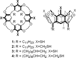 Resorcinarene-derived cavitands 1–4, top and side views.