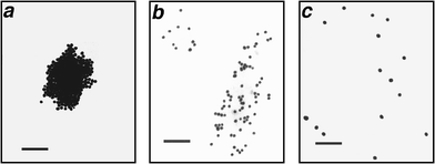 TEM images (Philips EM-400, 80 keV) of 20 nm Au particles encapsulated in tetraarylthiol 3 with varying degrees of crosslinking, after exposure to C12SH for 16 h at 70 °C. a, No crosslinking; b, treated with 3 mol% G-1 catalyst; c, treated with 30 mol% G-1 catalyst. TEM samples were prepared by depositing toluene dispersions onto Formvar-coated Cu grids (300 mesh), then were slowly dried in air; in the case of a, the precipitated particles were sonicated briefly prior to deposition. Scale bars = 150 nm.