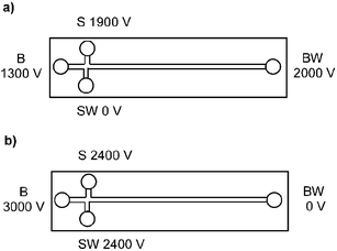 Voltage program for pinched injection (buffer reservoir (BR), buffer waste (BW), sample reservoir (SR) and sample waste (SW)) for injection (5 s) and separation (20 s).