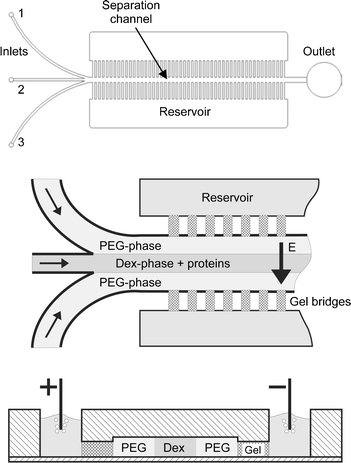 Upper: CAD drawing of the microdevice. The microfluidic chip comprises a separation channel with three inlets and one outlet. Middle: Injection procedure. Lower: Cut perpendicular through the microchannel showing the reservoirs and the separation channel in the center.