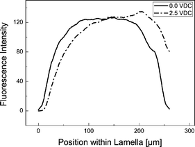 Fluorescence intensity across the dextran-rich lamella. In order to smooth out noise, an average over 15 neighboring data points was taken. The phase boundaries to the PEG-rich lamellae are located at x-values 0 and 220 µm, respectively. At 0.0 V dc the fluorescence shows a uniform distribution with a fall-off towards the phase boundaries at the left and at the right. At 2.5 V dc the BSA molecules move towards one phase boundary which leads to a displacement of the intensity curve depending on the electric field direction. Buffer: potassium phosphate, 5 mM, pH 7.0.