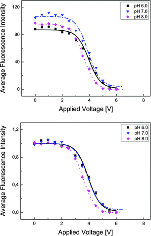 Upper: Average fluorescence intensity within the dextran-rich lamella. The intensities of all pixels within the lamella were added and divided by the number of pixels to eliminate influences from variations in the lamella width. Lower: Normalized intensity curves with all data divided by their values at U = 0 V dc. After a voltage of about 2.5 V dc is reached, the BSA molecules start to penetrate the phase boundary.