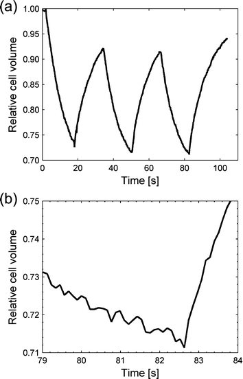 NaCl stress of a yeast cell. (a) The estimated yeast cell volume from the microscope images shown over time. The cell started in the left “neutral” flow, and soon after the recording was started, was moved to the saline flow where water started to flow out from the cell. After a while the cell was moved back to the first flow and water flowed back in. The procedure was performed three times. (b) A close-up view of the graph when moving back to the “neutral” flow the third time. The inflow of water started within 0.2 s.