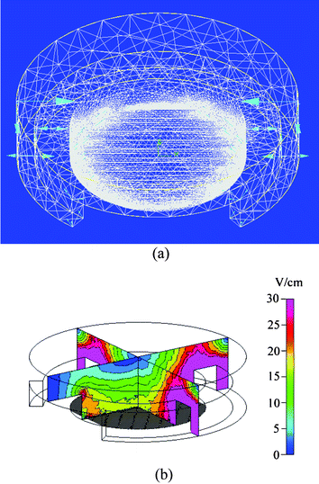 Simulated electric field distributions of the ES-EP microchip under a specific electrode targeting process. (a) Close-up view of a discretization model. (b) A cross-sectional view of the electric field distribution in the vicinity of the interdigitated electrodes and the ES electrode.