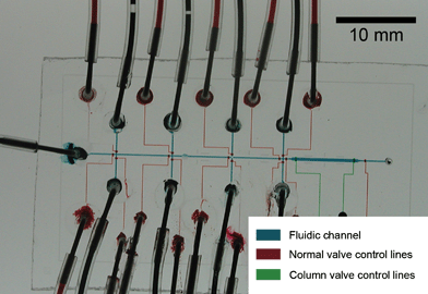 Optical micrograph of the PFPE DNA synthesizer chip. The channels have been filled with food dyes to indicate the different functional parts of the chip.