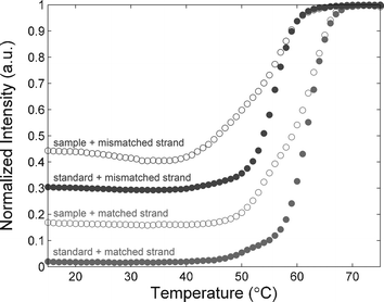 Melting curve measurements of single strand (ss)-DNA 20-mer with complementary strand and oligonucleotides with a single mismatch, respectively.