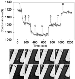 Simultaneous conductance and optical versus time data recorded from a single nanowire device with a high density of anti-influenza type-A antibody. Reproduced from ref. 46 (Proc. Natl. Acad. Sci., U. S. A., 2004, 101, 14017). Copyright © 2004 The National Academy of Sciences of the United States of America, all rights reserved.