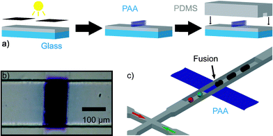 (a) Schematic of surface energy patterned microfluidic device fabrication. Glass supported PDMS substrates previously infiltrated with benzophenone are covered with a solution containing acrylic acid, exposed to UV light and sealed to PDMS moulded microchannels. (b) Micrograph of a microfluidic channel containing a patterned poly(acrylic acid) structure that was stained with toluidine blue. (c) Schematic of a PDMS microfluidic device containing a hydrophilic pattern. Droplets of different components are formed at a double T-junction, and when they encounter the hydrophilic pattern they are trapped, fused and effectively mixed.