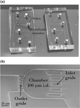 PDMS-based microfluidic systems used for confined sonoporation experiments on suspension cells. (a) Photograph of such a microsystems having dimensions of 1.8 cm × 0.8 cm (one system includes two independent devices); (b) SEM photograph of a 100 µm diameter microchamber where cells are collected, scale bar denotes 25 µm.