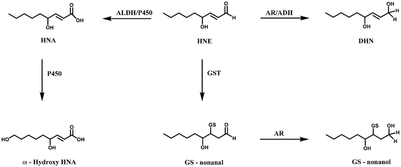 glutathione and acetaldehyde ETHIGLO ET EFF Tablets 15'S – ETABX
