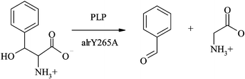 Reprinted with permission from F. P. Seebeck, A. Guainazzi, C. Amoreira, K. K. Baldrige, D. Hilvert, Angew. Chem., Int. Ed. 2006, 45, 6824–6826.