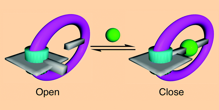 The metal key (green) locks the gate with coordination bonds. Copyright 2007, Royal Society of Chemistry.