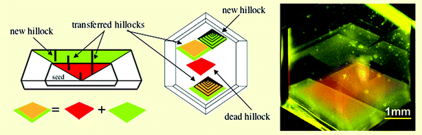 Crystal defects can be transferred but ‘mutations' were also observed.