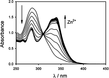 Changes in the absorption spectrum of a 5 × 10−5 M acetonitrile solution of 1 during titration with zinc triflate. The last spectrum corresponds to the addition of 1.5 equivalents of zinc.