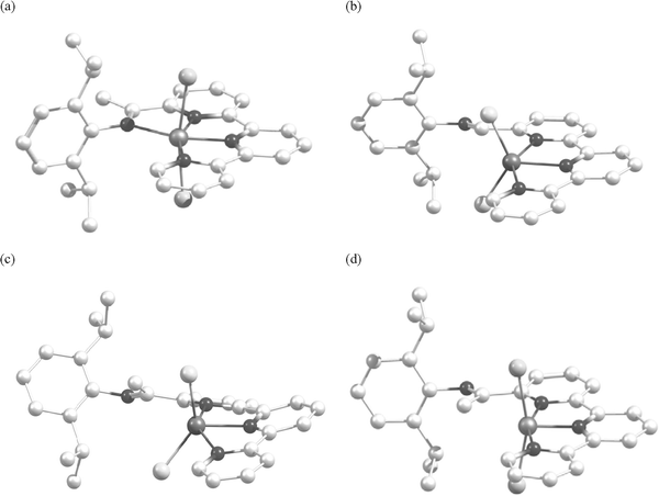Common optimised structural types for 1 and 2: (a) opt-2endo (also applicable to opt-1endo) (FeCl2, CoCl2, NiBr2, NiCl2, ZnCl2); (b) opt-1exo (FeCl2, CoCl2, NiBr2, NiCl2, ZnCl2); (c) opt-2exo (FeCl2, CoCl2, ZnCl2); (d) opt-2exo (NiBr2, NiCl2).