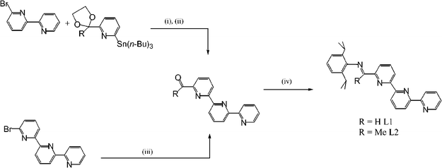 
            Reagents and conditions: (i) Pd(PPh3)4 (6 mol%), toluene, 90 °C, 72 h; (ii) HCl (4 M), 60 °C, 12 h; (iii) n-BuLi, −78 °C, Me2NC(O)R (R = H, Me), diethyl ether–hexane–tetrahydrofuran; (iv) 2,6-i-Pr2C6H3NH2, cat. H+, ethanol, 50–80 °C, 12–72 h.
