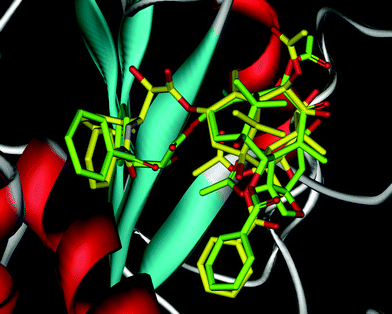 Anticancer drugs from nature—natural products as a unique source of new  microtubule-stabilizing agents - Natural Product Reports (RSC Publishing)  DOI:10.1039/B515619J