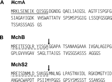 (A) Sequence of the MccM precursor (McmA). The leader peptide is underlined. Similar to mature MccE492, MccM can be modified by a siderophore moiety linked to the C-terminal serine. (B) Sequences of the precursors of MccH47 (MchB) and MccI47 (MchS2). The putative leader peptides are underlined with dashed lines. The putative cleavage sites of MccH47 and MccI47 precursors, whose location is based on multiple alignment of class II microcin precursors (Section 5.1.1; Fig. 10), are indicated by an arrow.