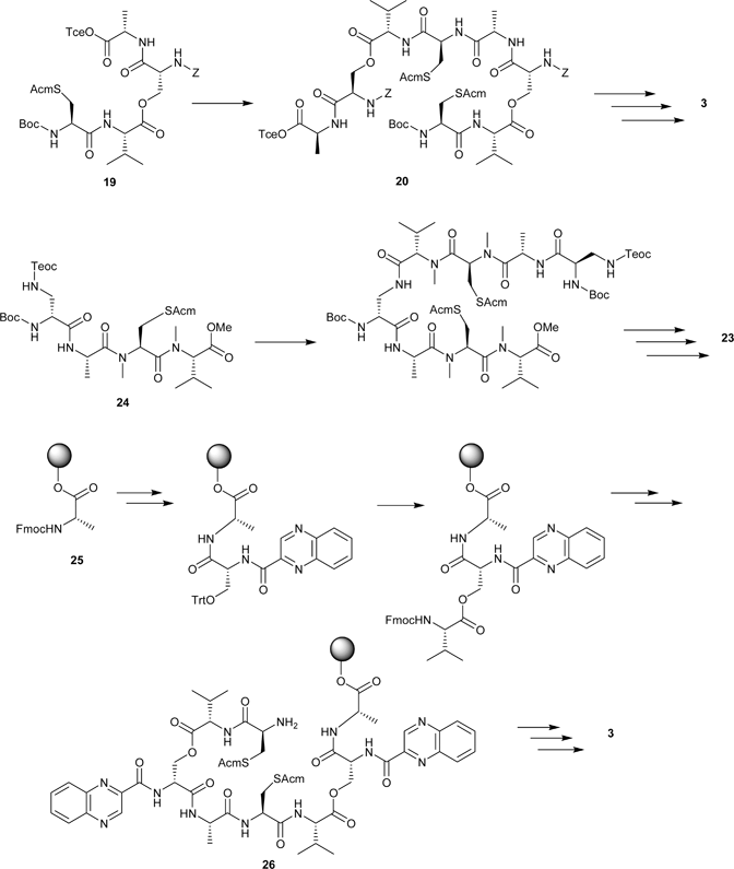 Top: Olsen’s synthesis of TANDEM.55 Middle: Boger’s synthesis of azatriostin A.64 Bottom: The Searcey/Malkinson solid-phase synthesis of TANDEM.65