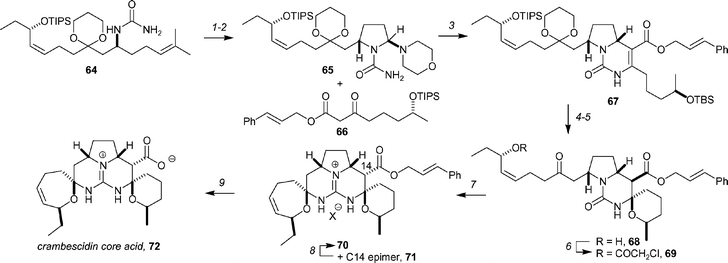 Overman's synthesis of the crambescidin core acid. Reagents and conditions: (1) 7.5 mol% OsO4, 3.5 equiv. NMO, THF, H2O; (2) Pb(OAc)4, PhMe then morpholinium acetate; (3) 66, CF3CH2OH, 60 °C, 63% (over 3 steps, dr = 6 : 1); (4) TBAF (5.5 equiv.), DMF; (5) TsOH·H2O (1 equiv.), CHCl3, rt, 67% (2 steps); (6) chloroacetyl chloride (5 equiv.), pyridine (20 equiv.), DMAP (0.5 equiv.), 74%; (7) MeOTf, DTBMP then NH3, NH4Cl, allyl alcohol, 60 °C, 78% (dr = 1.1 : 1); (8) NH3, NH4Cl, allyl alcohol, 60 °C, 53% combined yield of 70 after two recycles; (9) Pd(PPh3)4, Et3NH+ HCO2−, THF, rt, 30 min, > 90%.